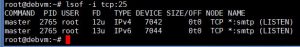 lsof-tcp-port-25