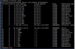 netstat-verbindungen